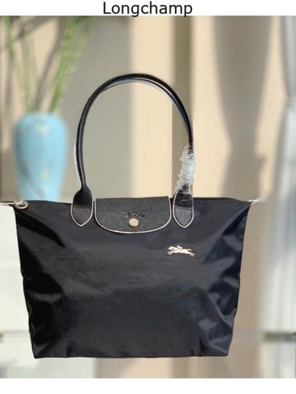 Longchamp women's bags